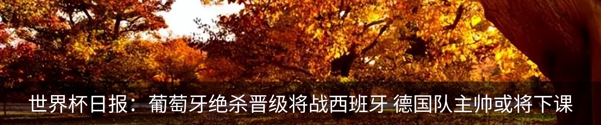 内页banner