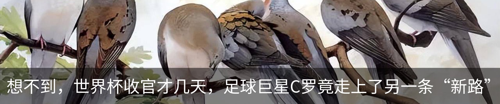 内页banner